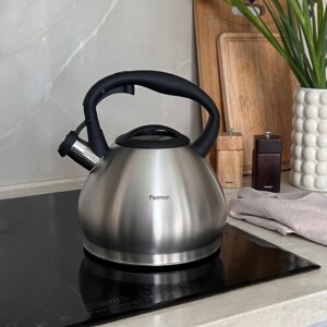 Plieninis Virdulys Fissman ANIKA | 3,4 l | Su Švilpuku